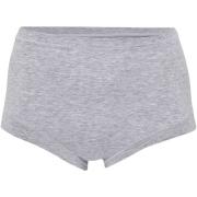 Bambus, Maxi Slip, Grau -JBS of Denmark Women