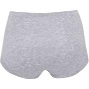 Bambus, Maxi Slip, Grau -JBS of Denmark Women