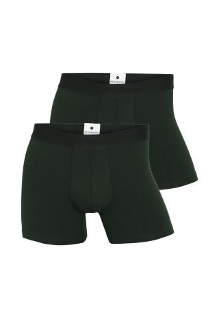 Unterhose, 2er-Pack | Bambus-Viskose | grün -JBS of Denmark Men