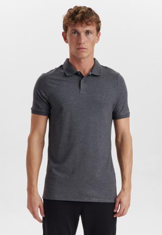 Polo-Shirt, Piqué | Bambus-Viskose| grau -JBS of Denmark Men