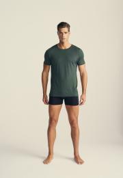 T-Shirt | 100% Wolle | grün -JBS of Denmark Men