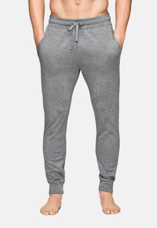 Jogginghose | Bambus-Viskose | hellgrau -JBS of Denmark Men