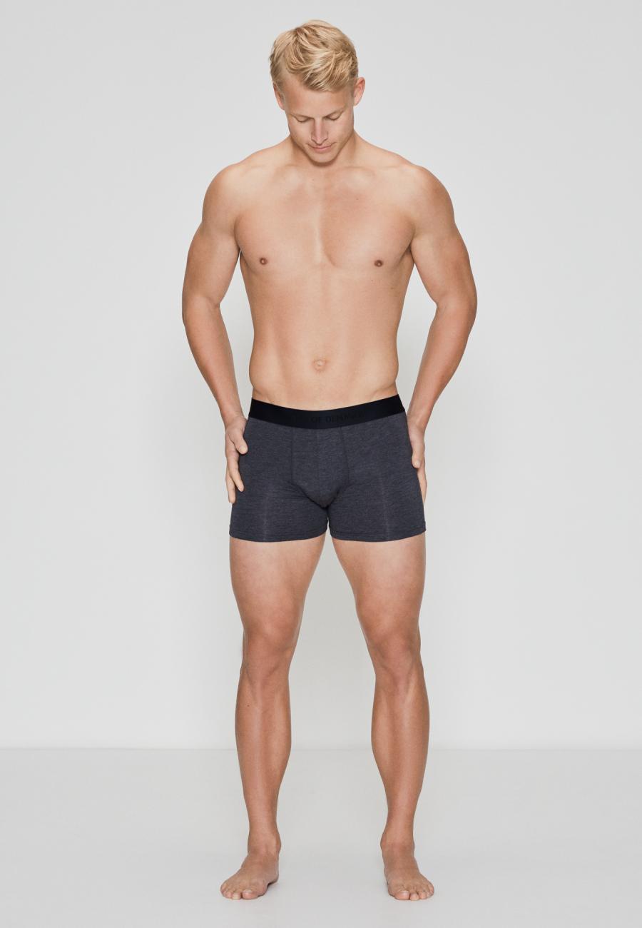 Unterhose, 2er-Pack, Bambus-Viskose, dunkelgrau