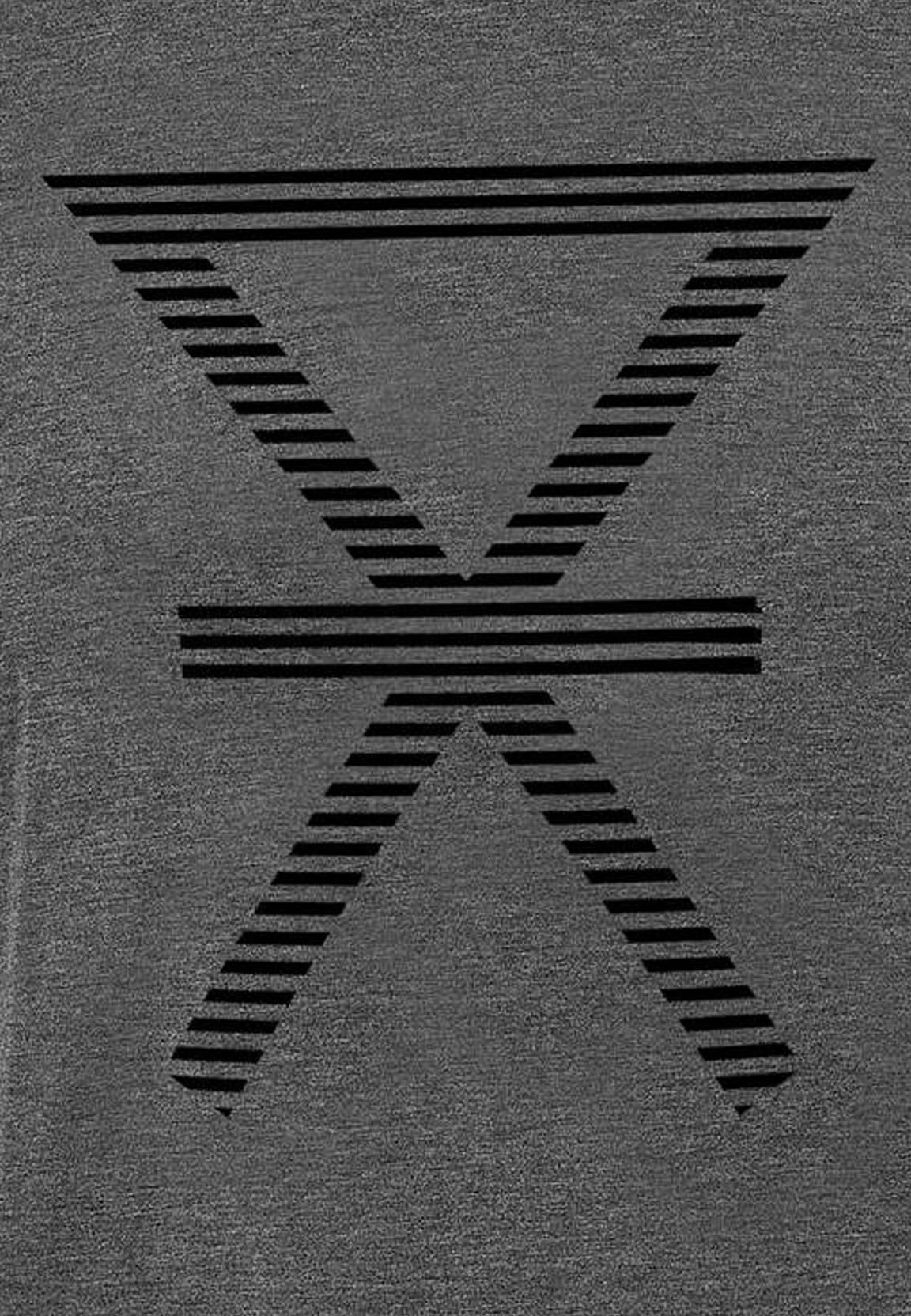 T-Shirt, Logo groß, Bambus-Viskose, grau